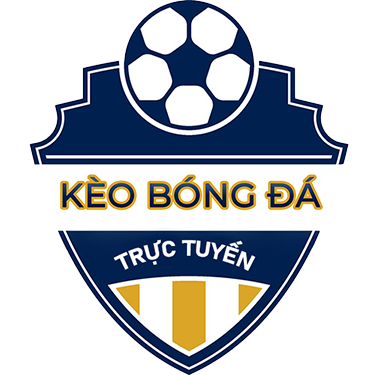 tylebongdavip.xyz