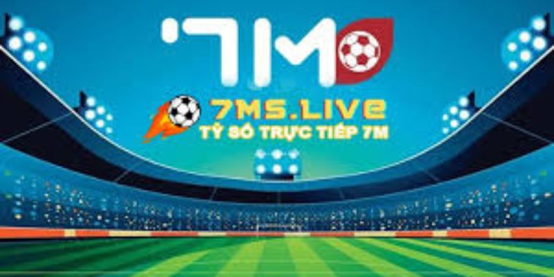 Tổng quan 7m