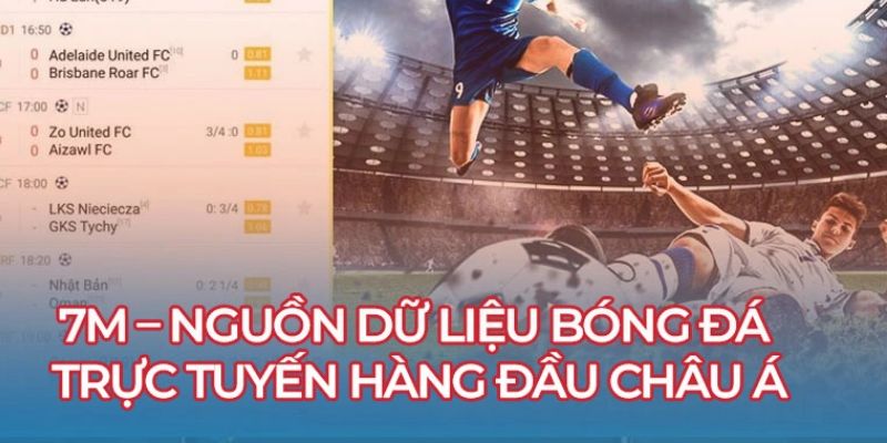 Đặc điểm vượt trội của 7m
