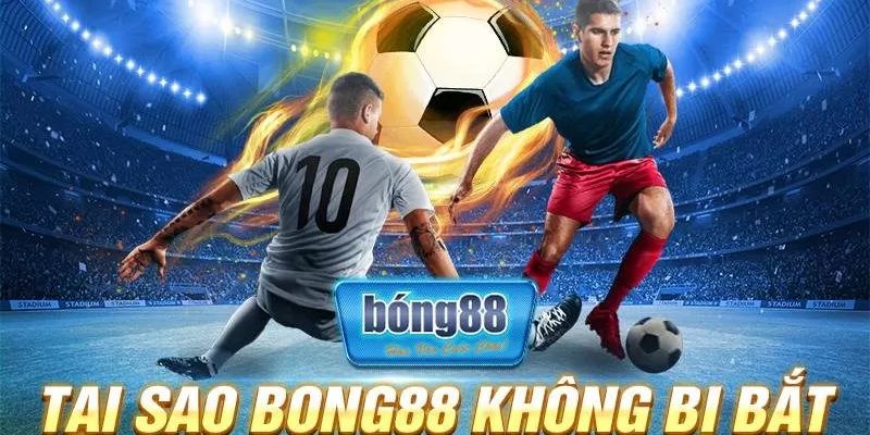 Tổng quan nhà cái bong88