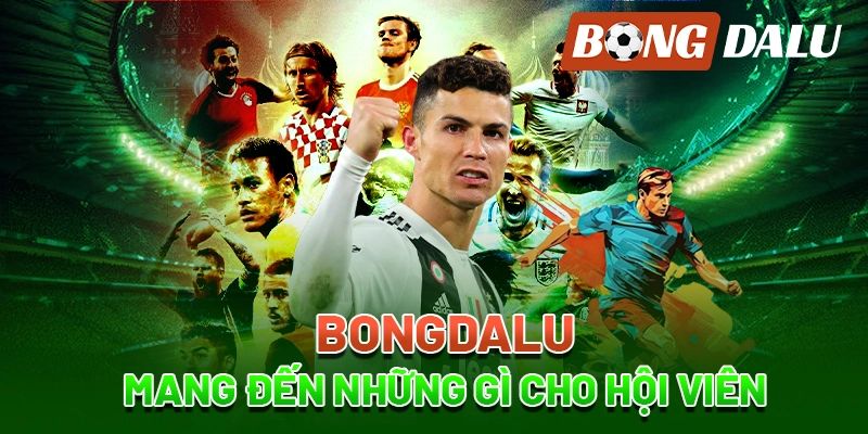 Tổng quan về bongdalu