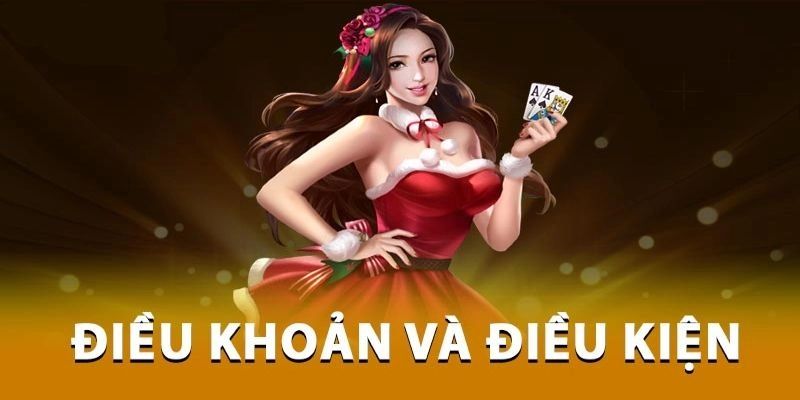Vai trò của điều kiện điều khoản