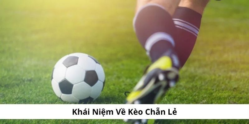 Khái niệm kèo chẵn lẻ là gì