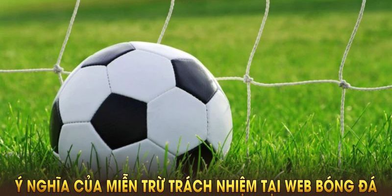 Nội dung trọng của miễn trừ trách nhiệm